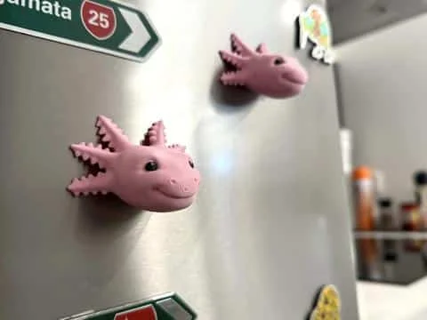 Axolotl Fridge Magnet - Image 4