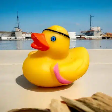 Personalise Your Rubber Ducks - Image 4