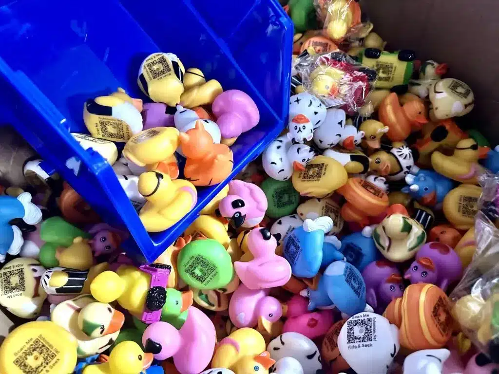 20 Ducks Random Scoop